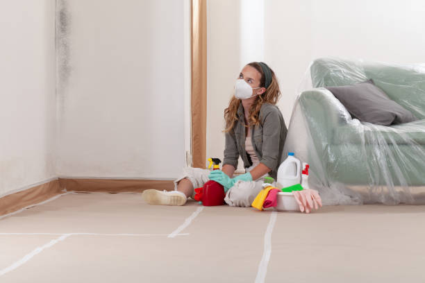 Reliable Mold Remediation contractor in Warrenton, OR by WQB Mold Removal